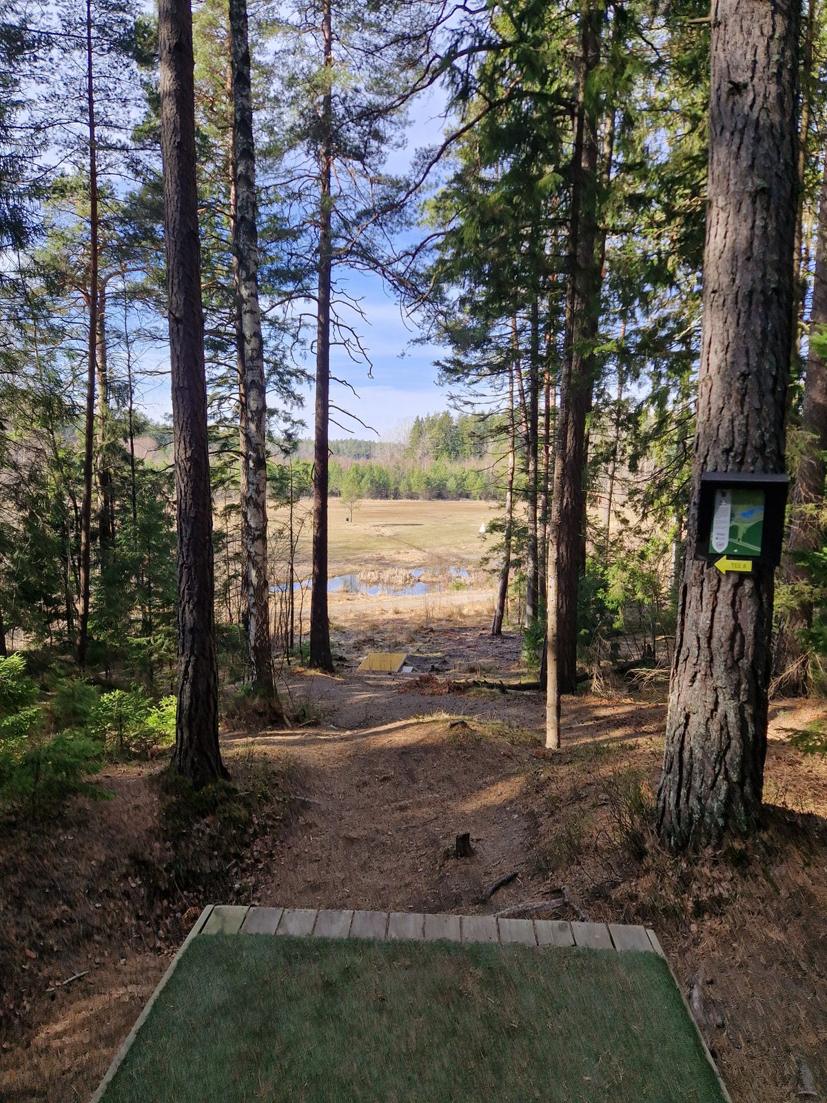 Hål 8