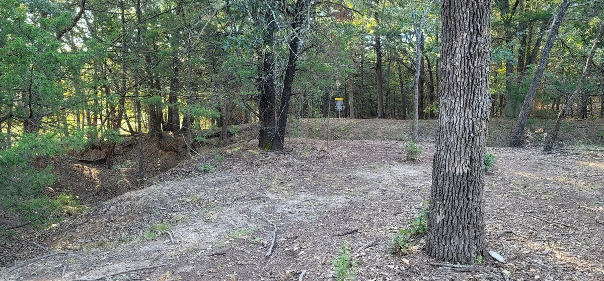 Hole 3 green