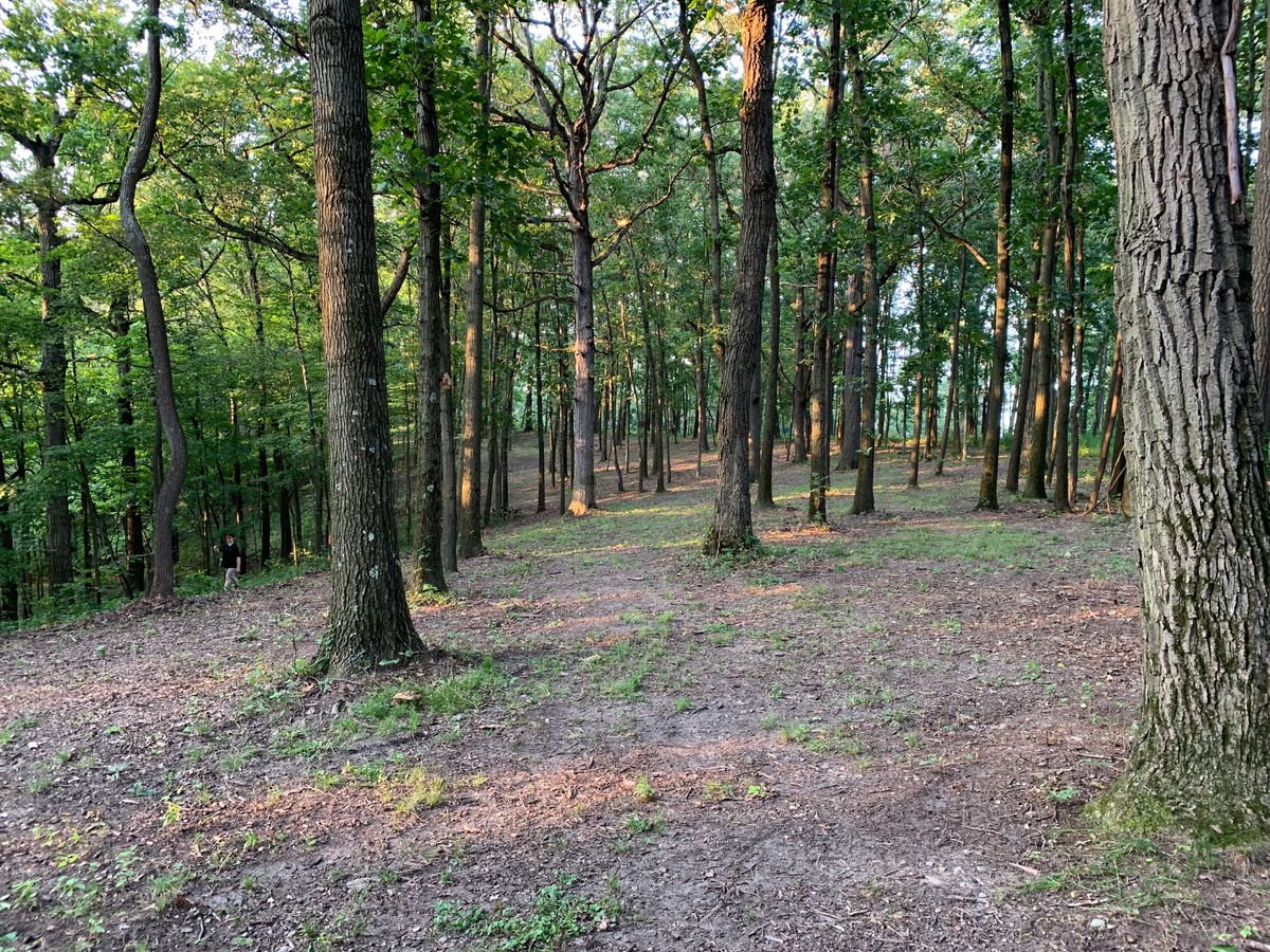 Hole 16 first fairway shot