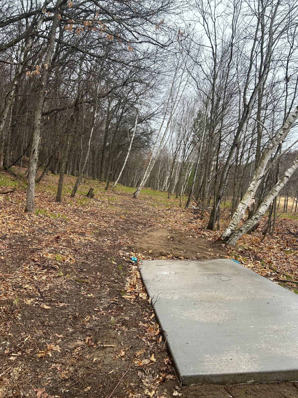 Tight fairway on back 9
