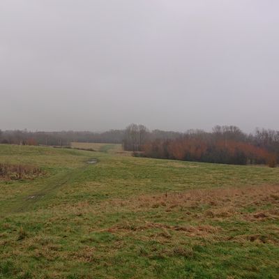 Course photo