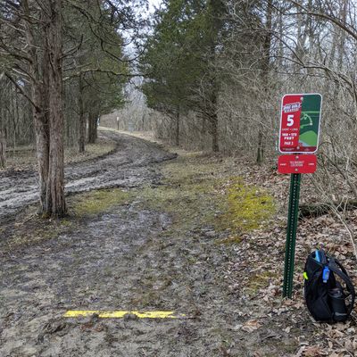 Holes 5 and 7 are all mud.
