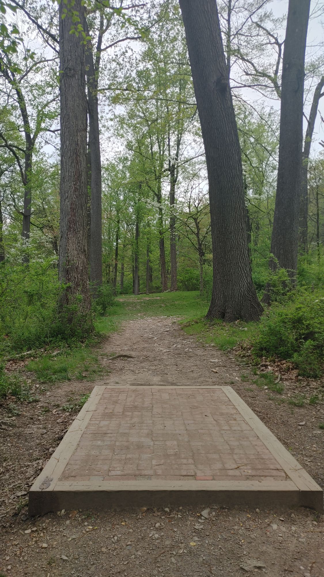 Hole 5