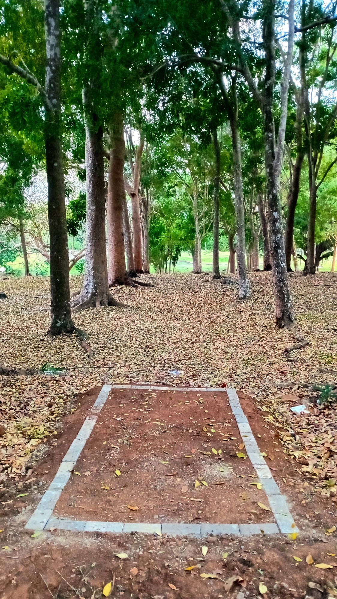 Parque Omar DG Course
Hole 2 Tee