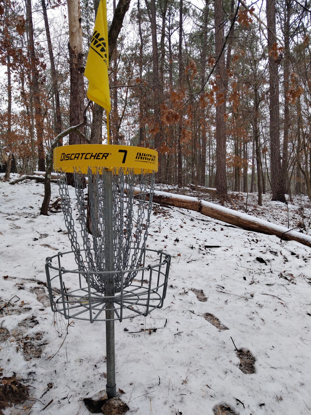 Basket 7 Snow day