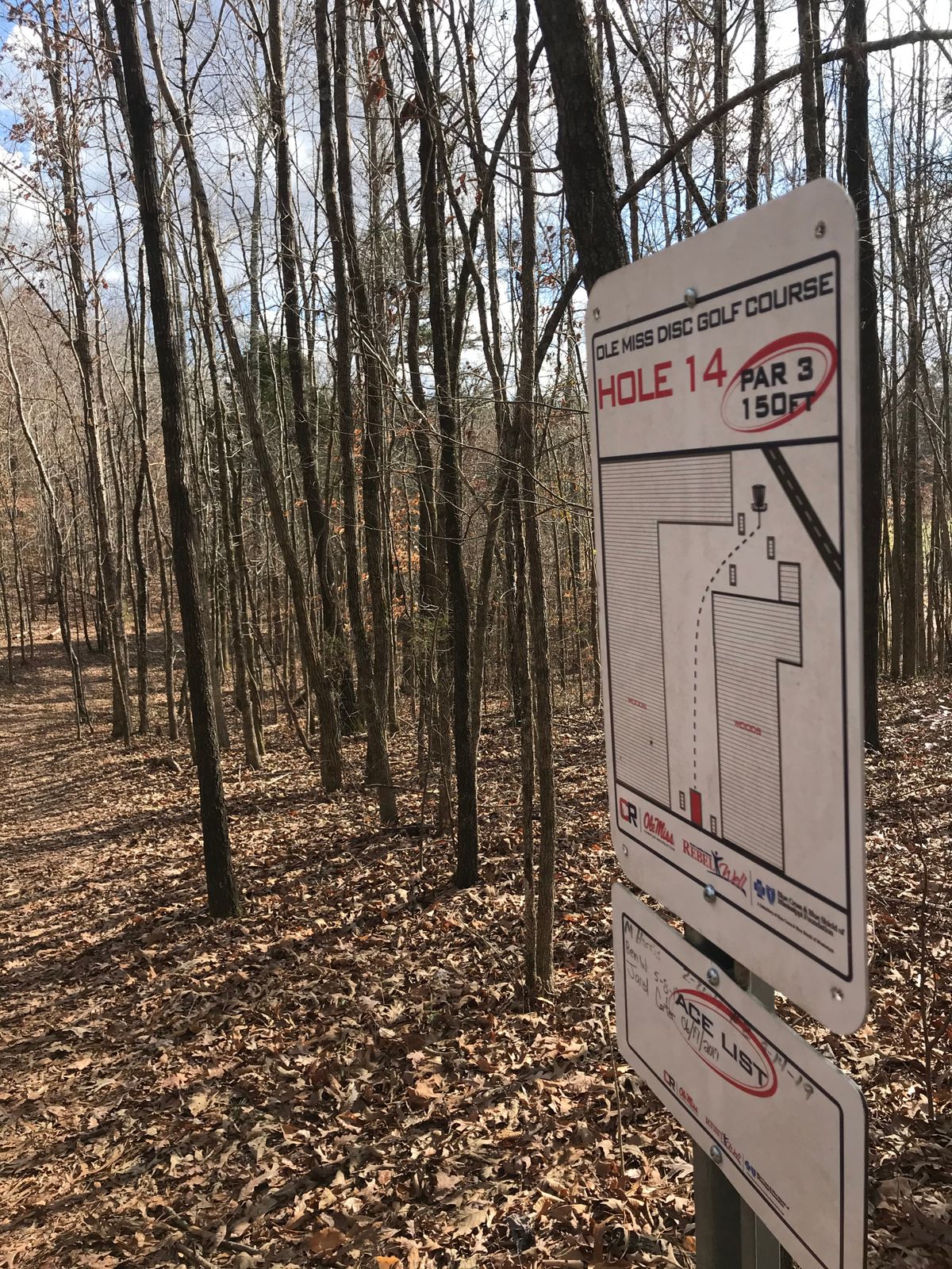 Hole 14: Downhill fairway