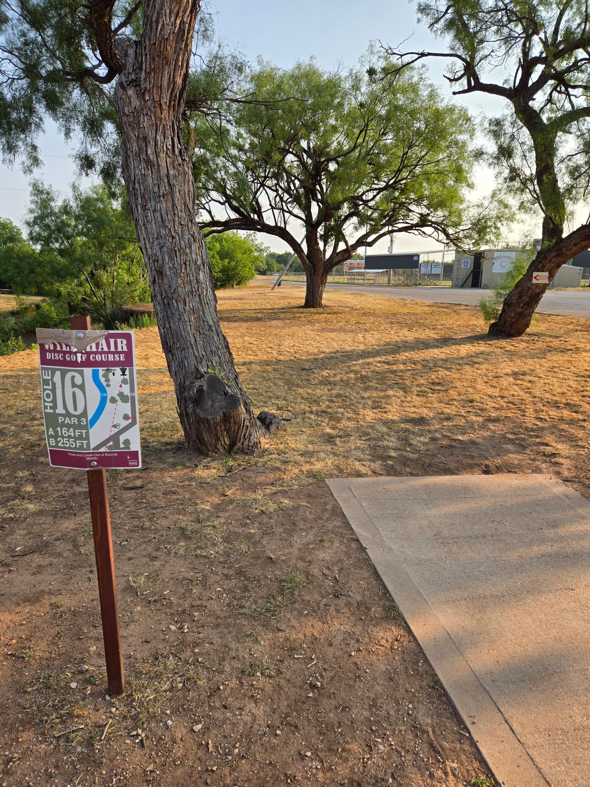 Hole 16 short tee