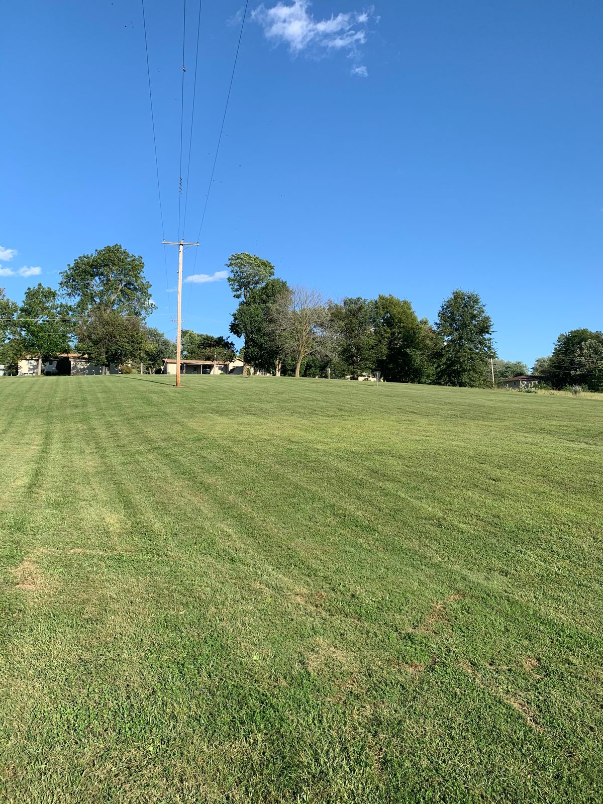 fairway on 11. 