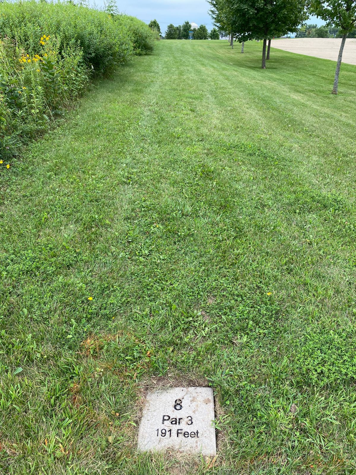 Hole 8 tee pad.