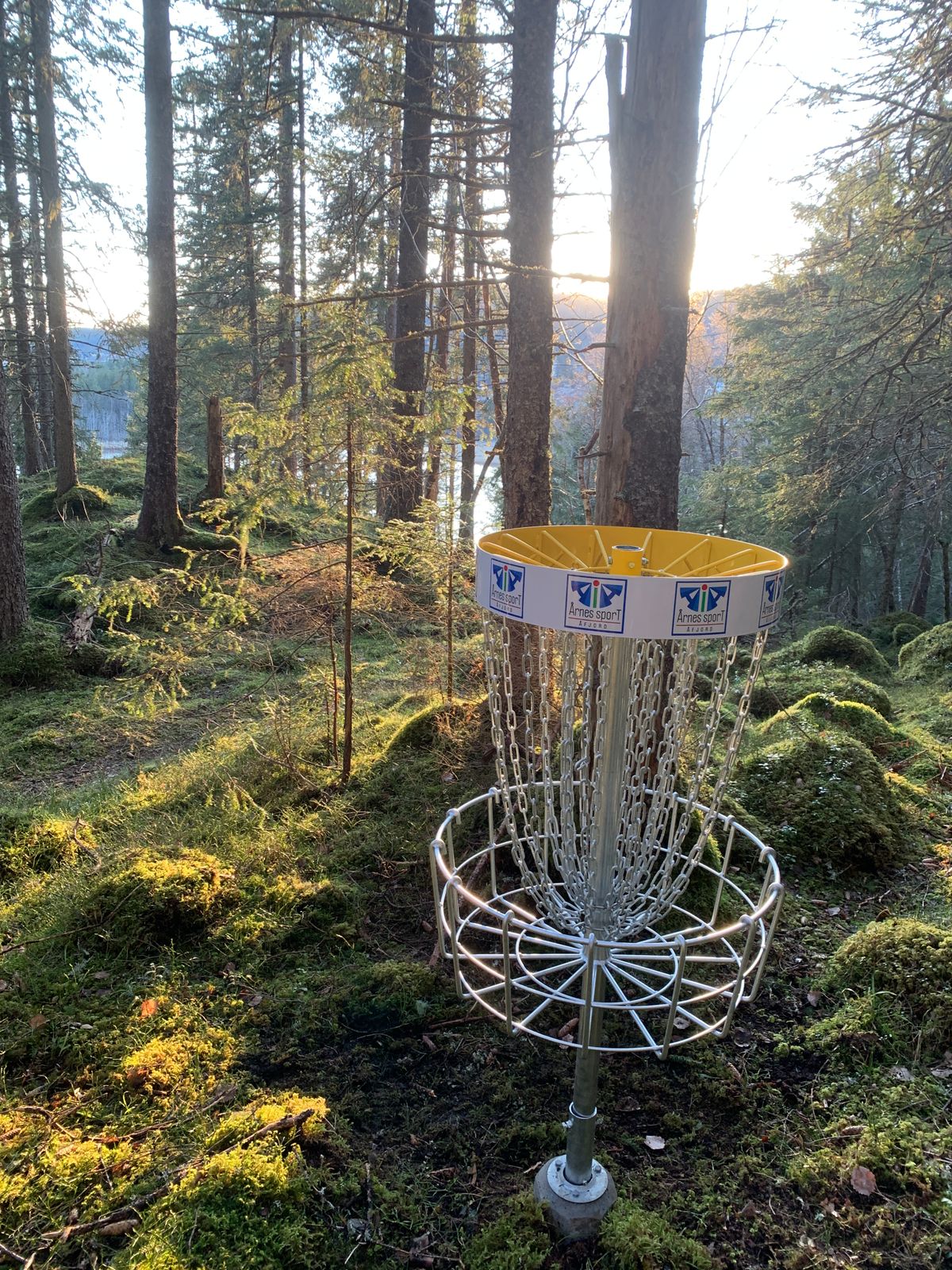 Kurv 7 i kveldssol