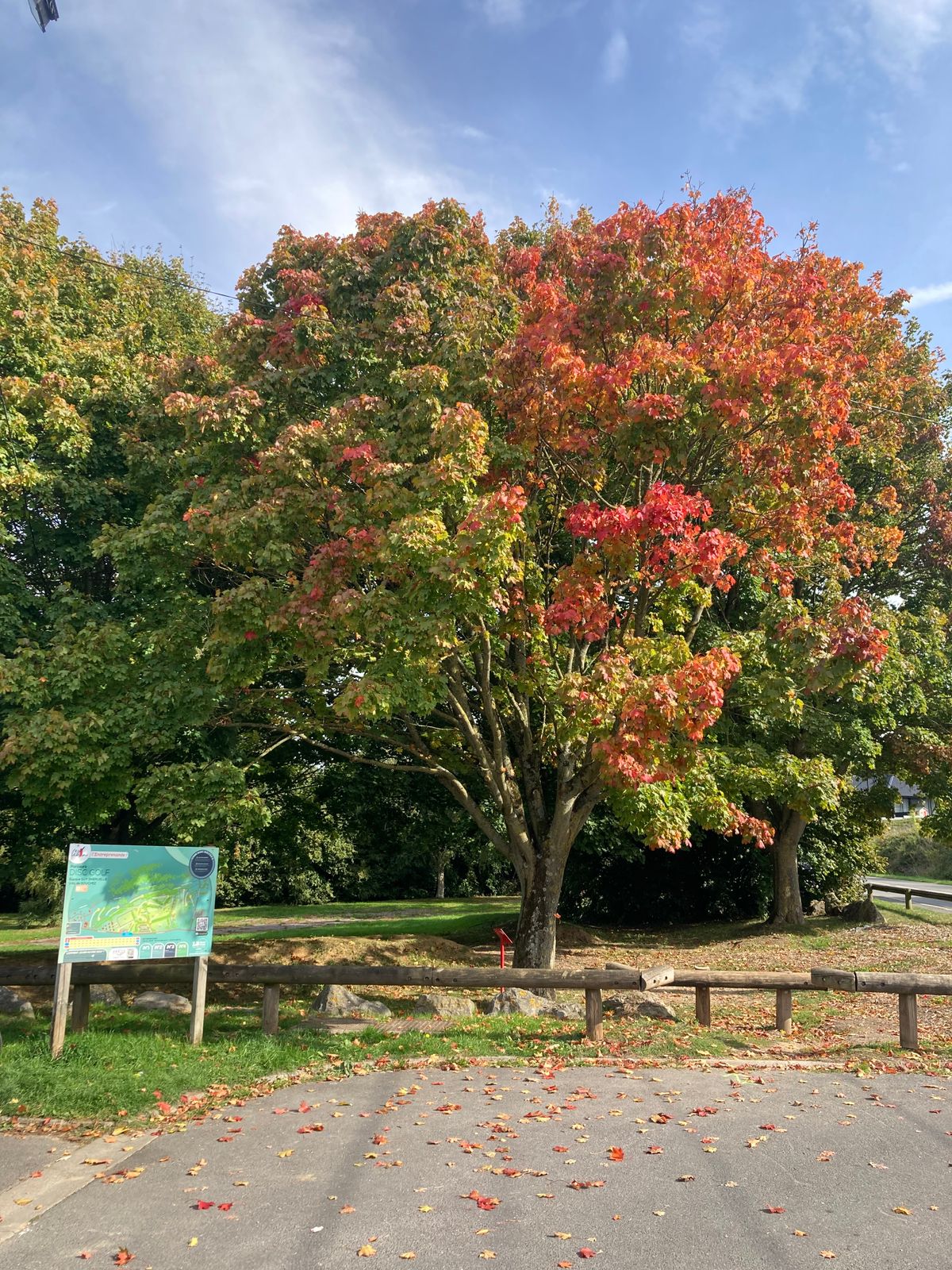 Parking lot and hole 1 tee area