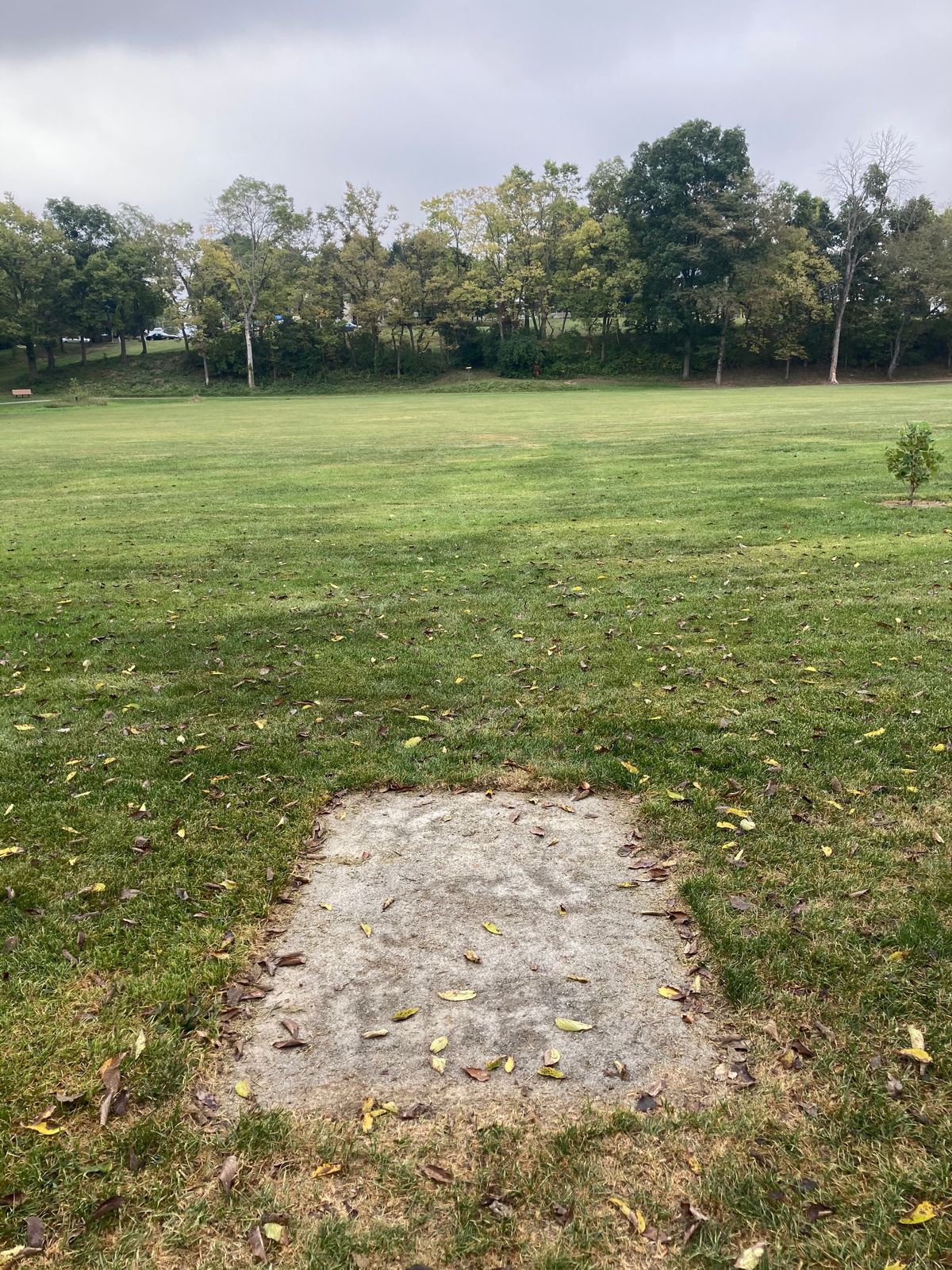 Hole.8