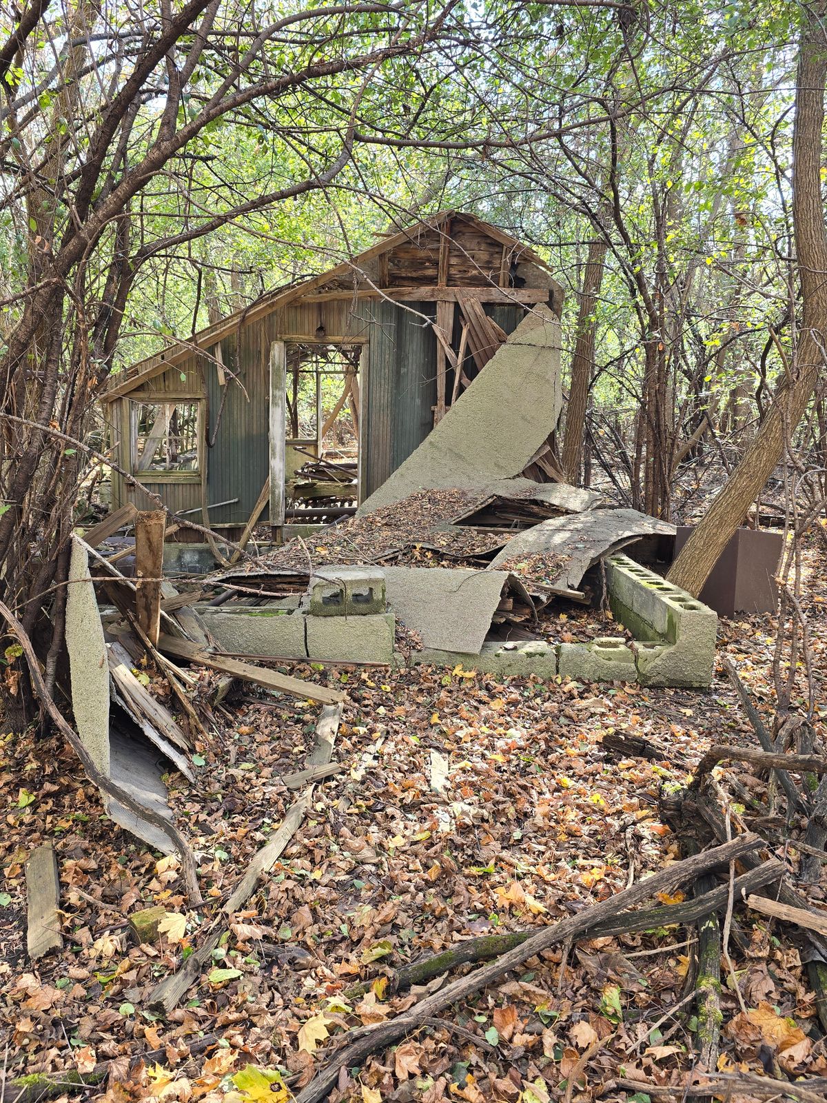 Sometimes scary shacks pop up out of nowhere here.