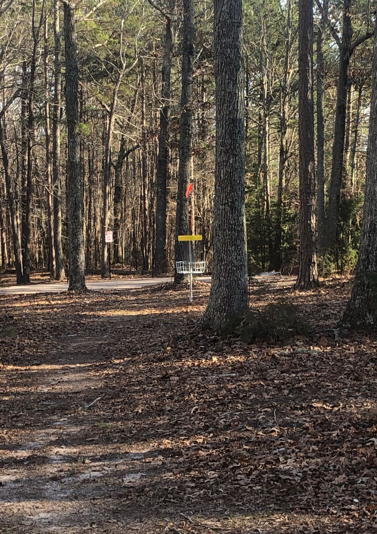 Hole 4 Basket
