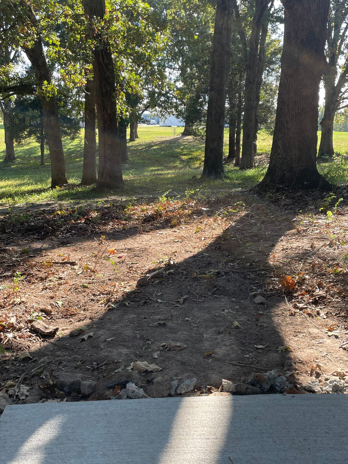 Hole 6