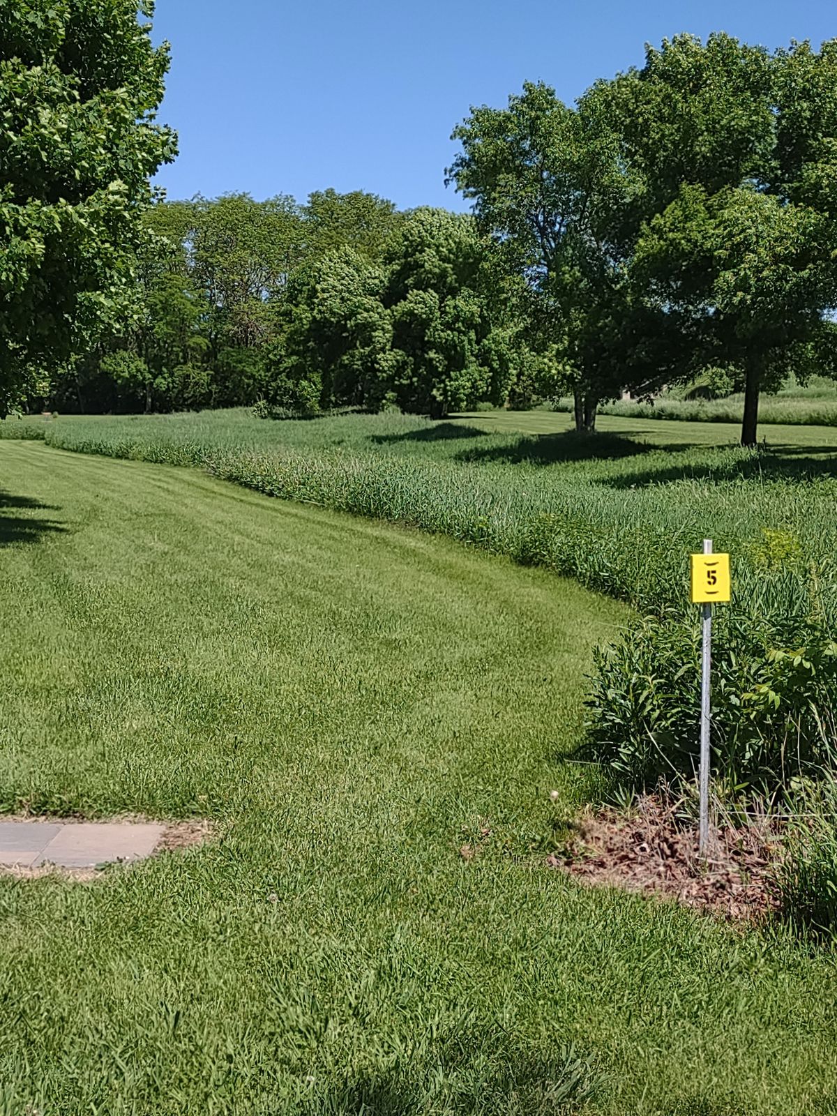 Hole #5 yellow tee