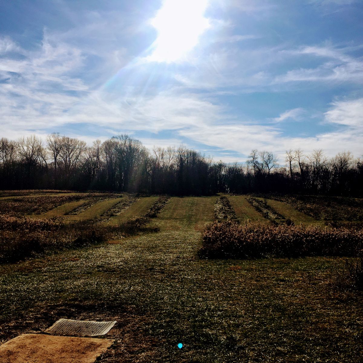 Hole 11