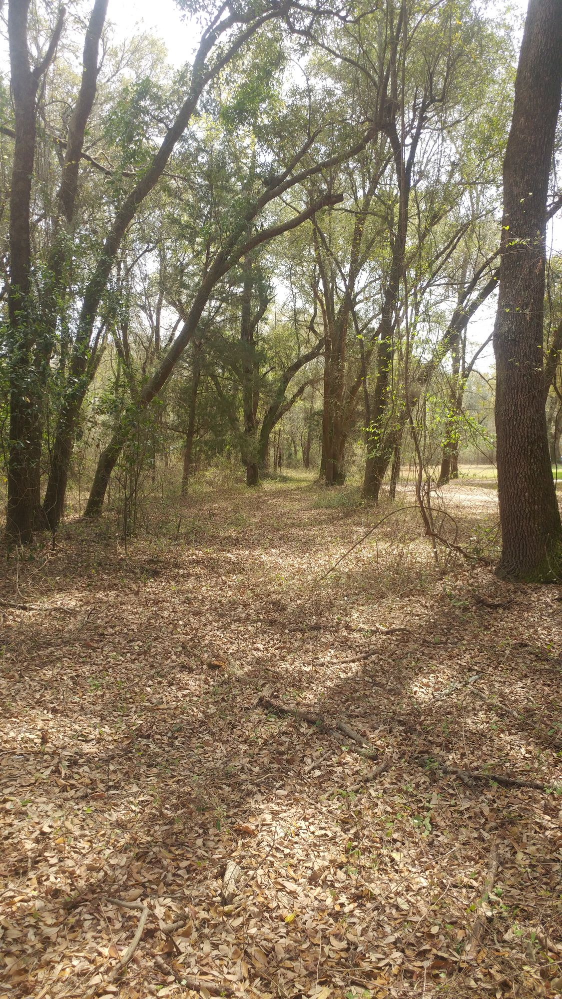 #3