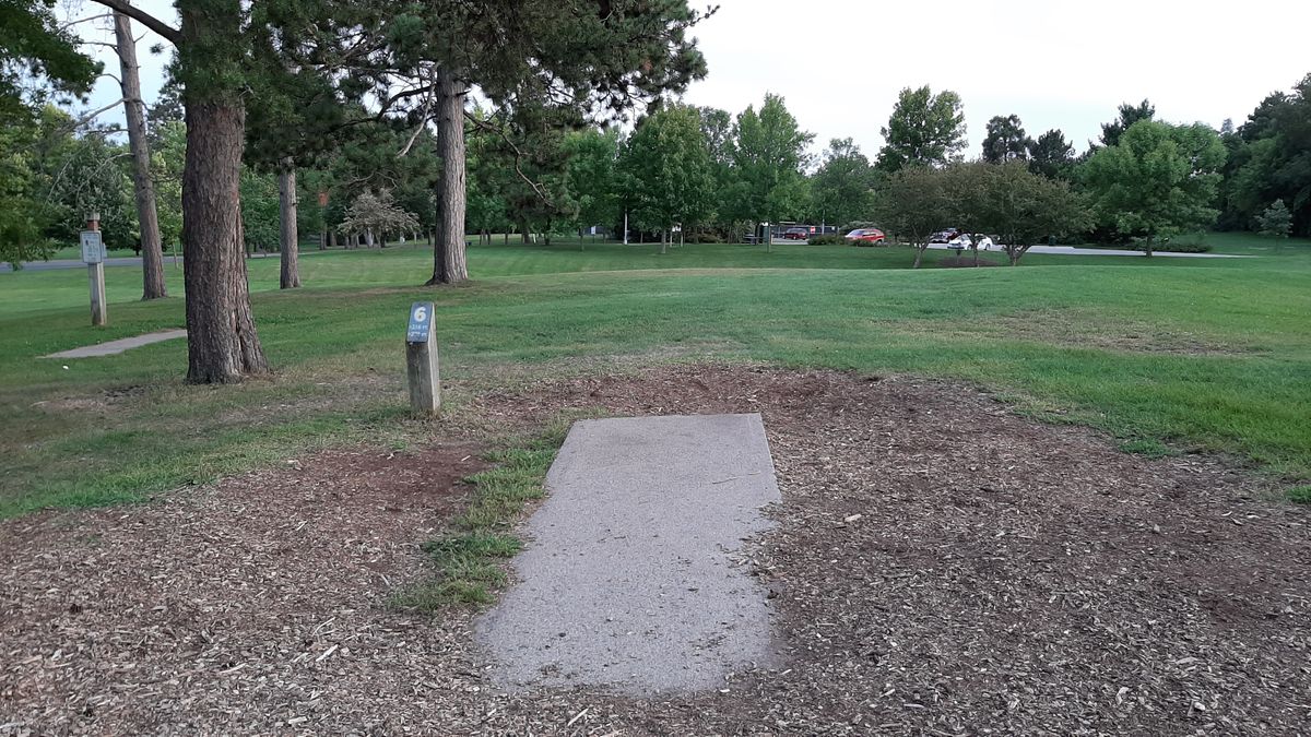 #6 long tee