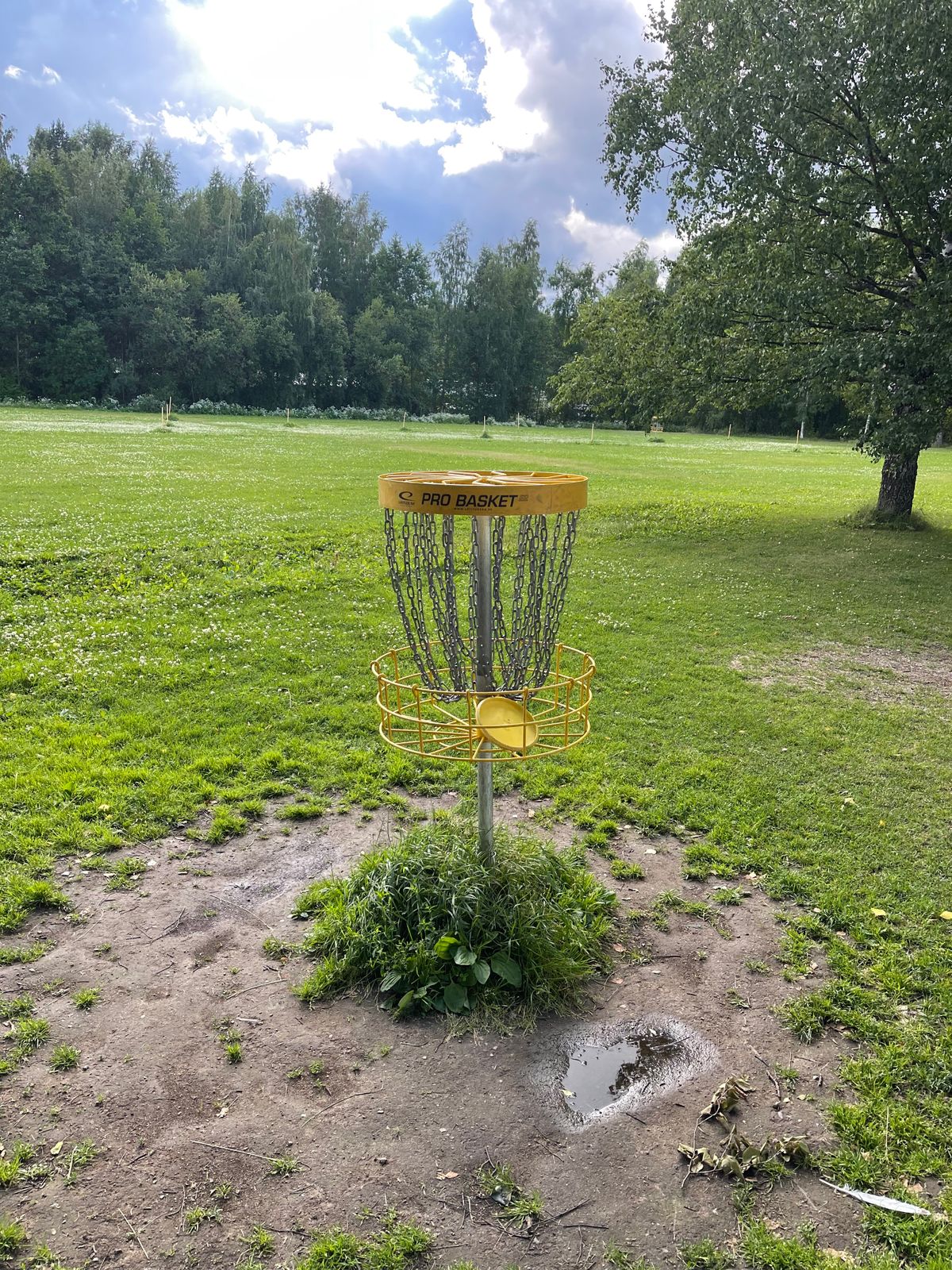 Latitude Pro Baskets have replaced old Amexpos.