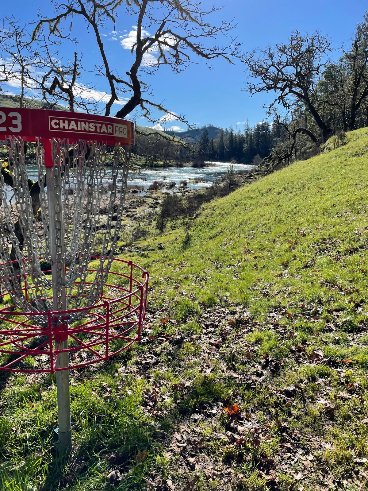 Amazing basket placement