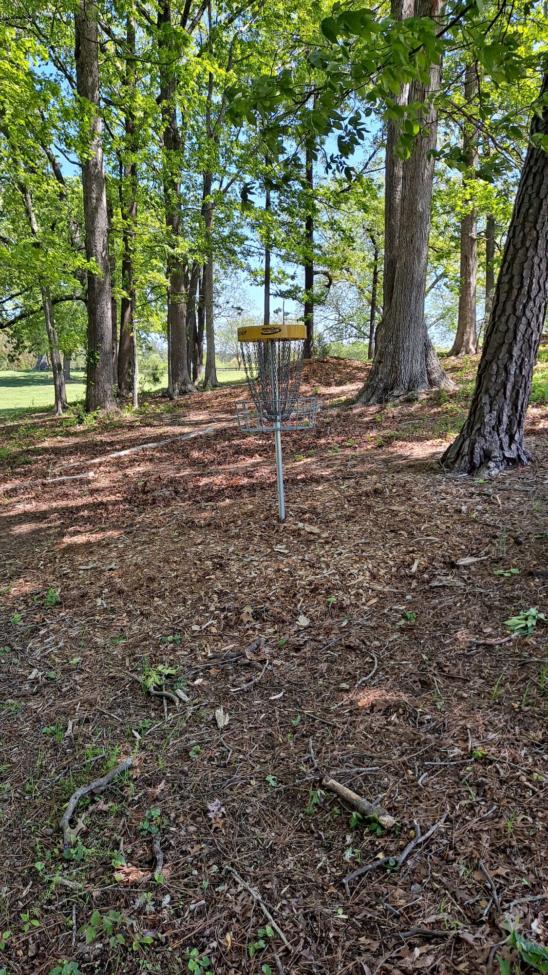 Alternate basket for hole 2 and / or hole 5