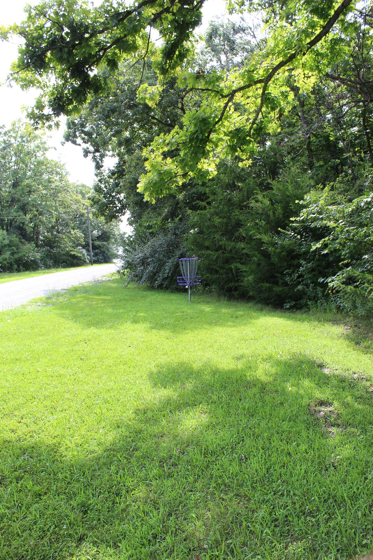 Hole 11 (Circle 1)