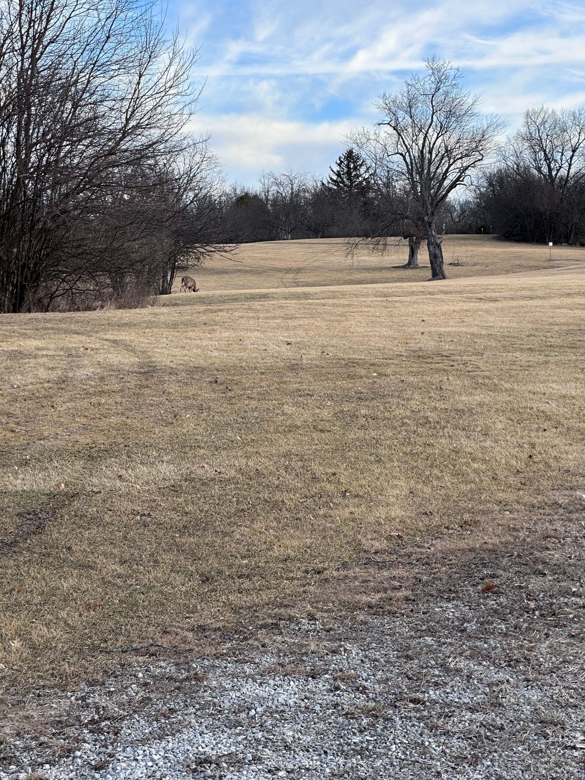Deer off the third basket