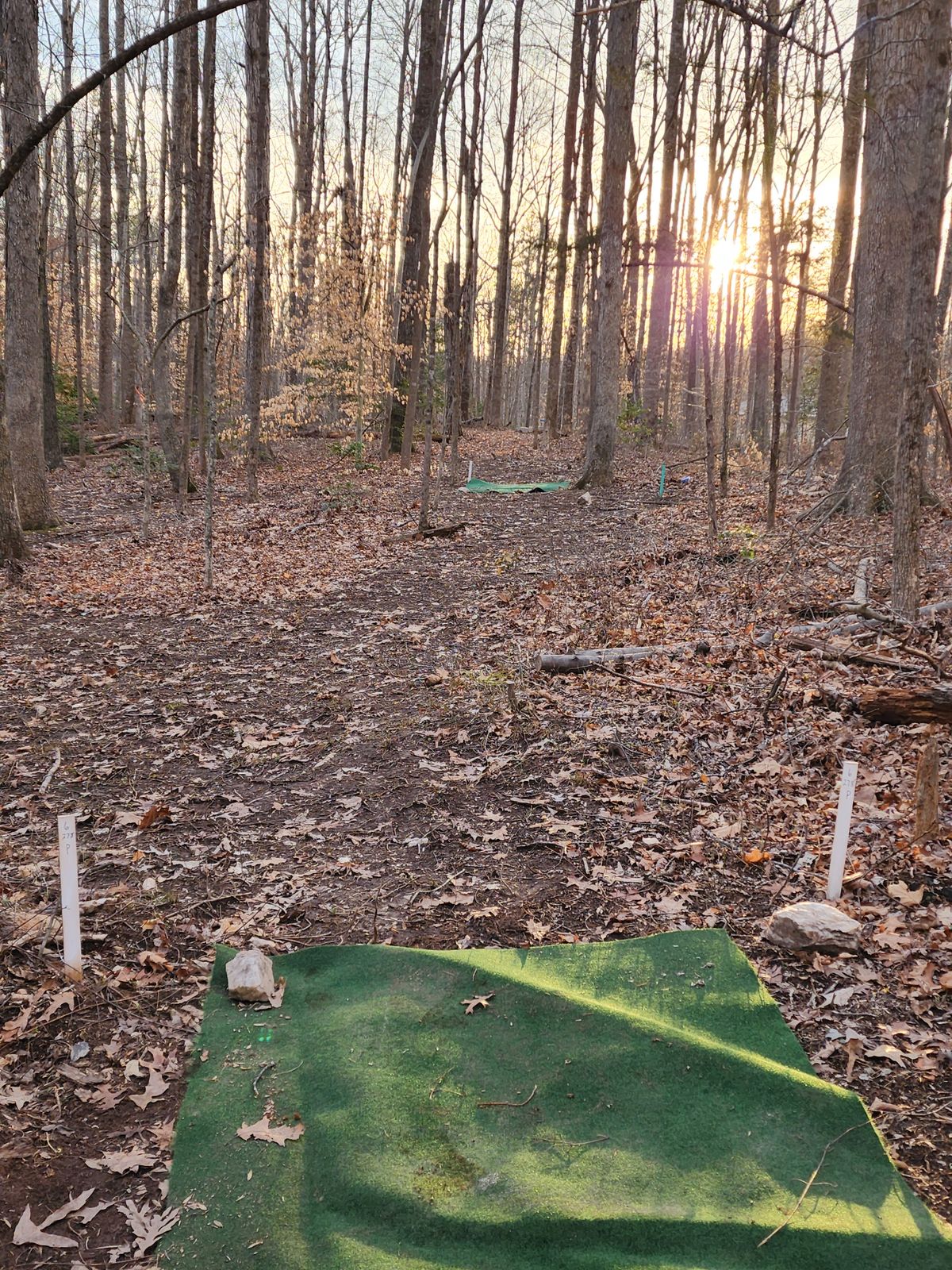 Hole 6 Long
