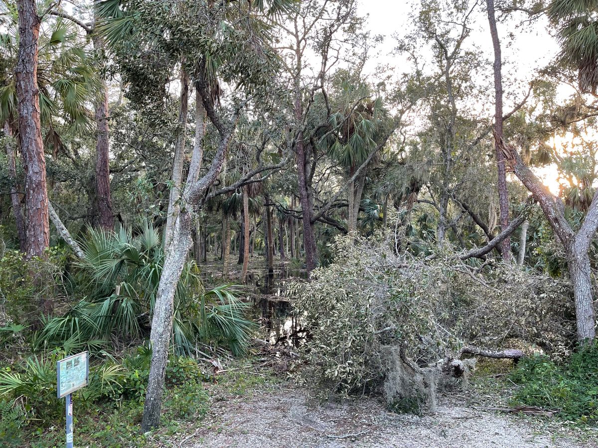 Hole 4