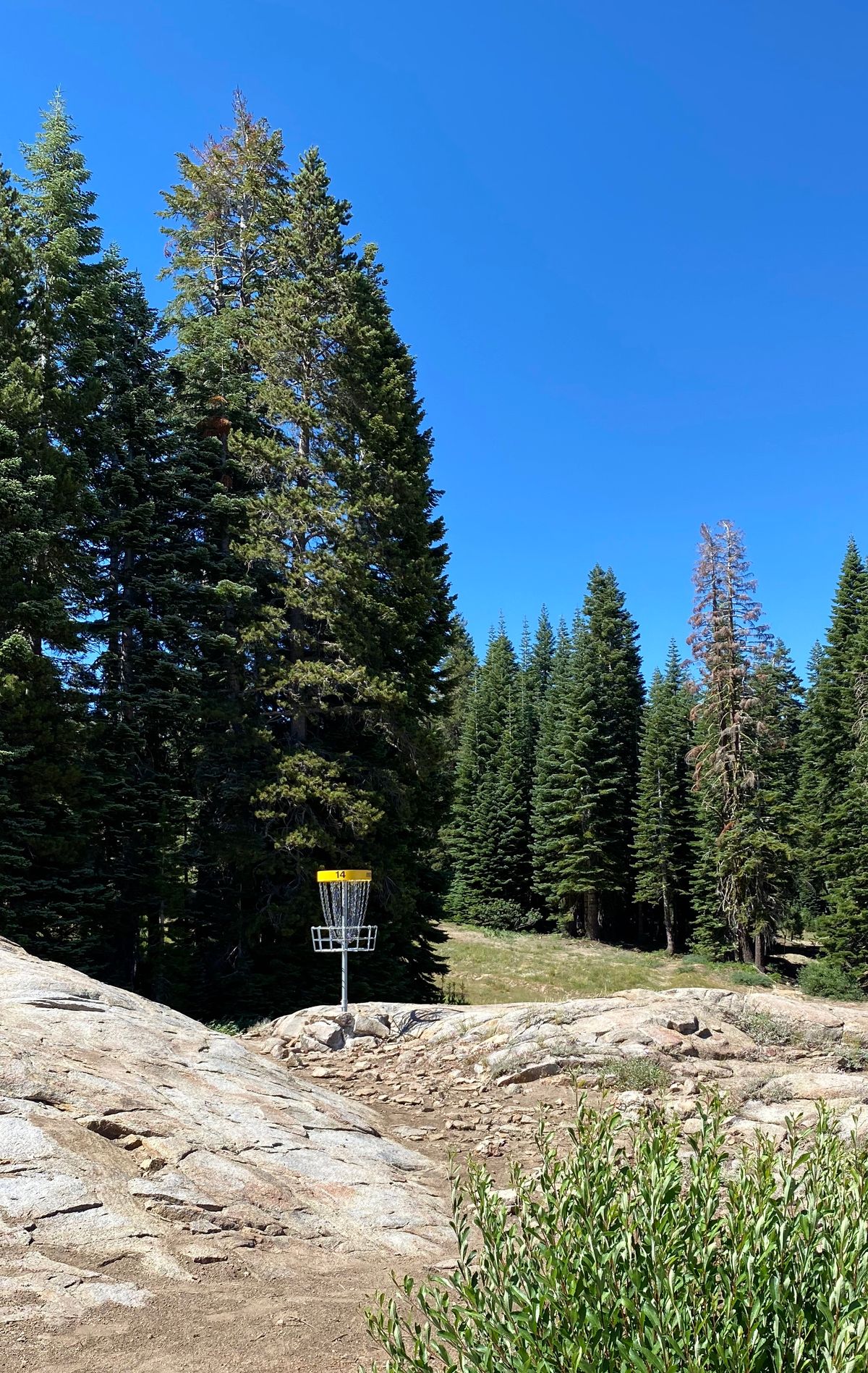 Hole 14