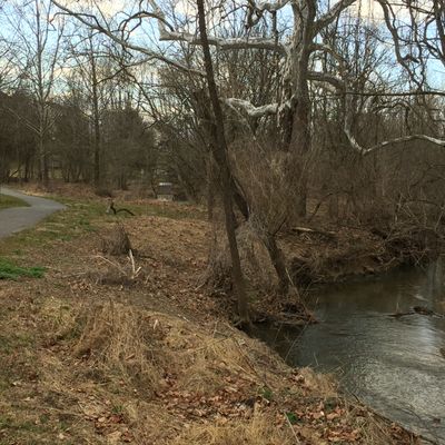 Hole 5 - creek to the right is ob