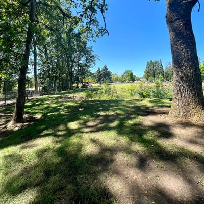 Hole 2 alternate tee - less over the bog