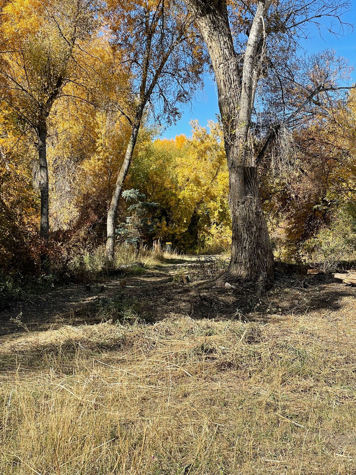 Hole 3 Eagle Park