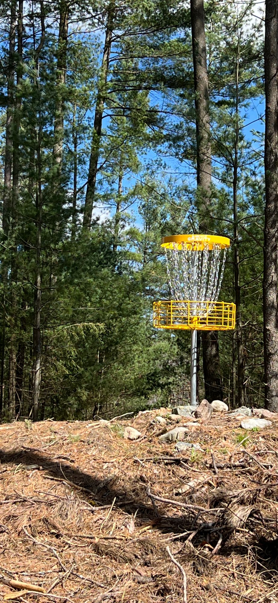 Hole 5 from behind pin