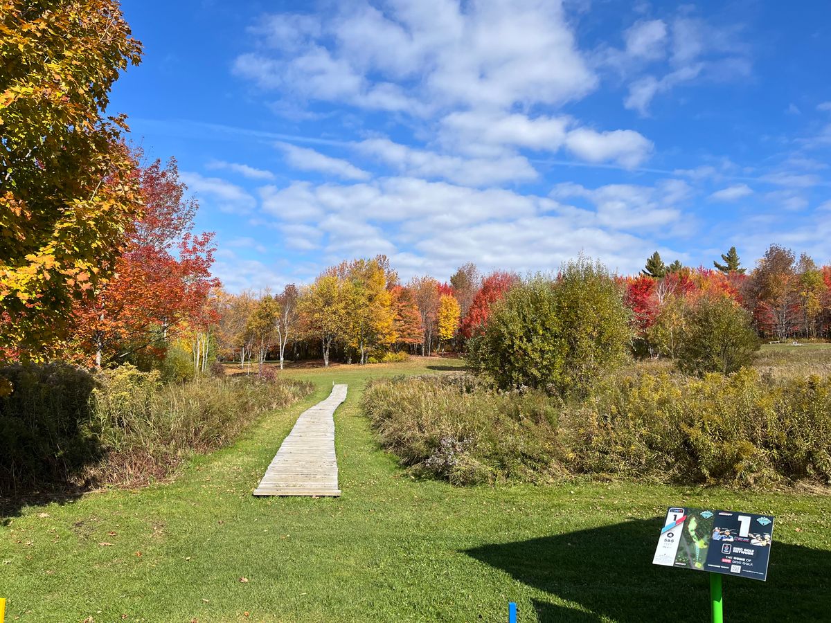 #1 peak foliage. C’mon man…nothing better