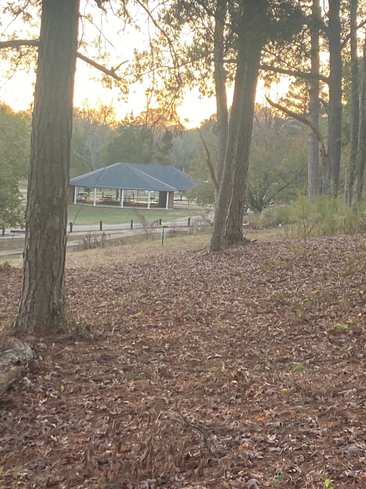 Hole 8 approach