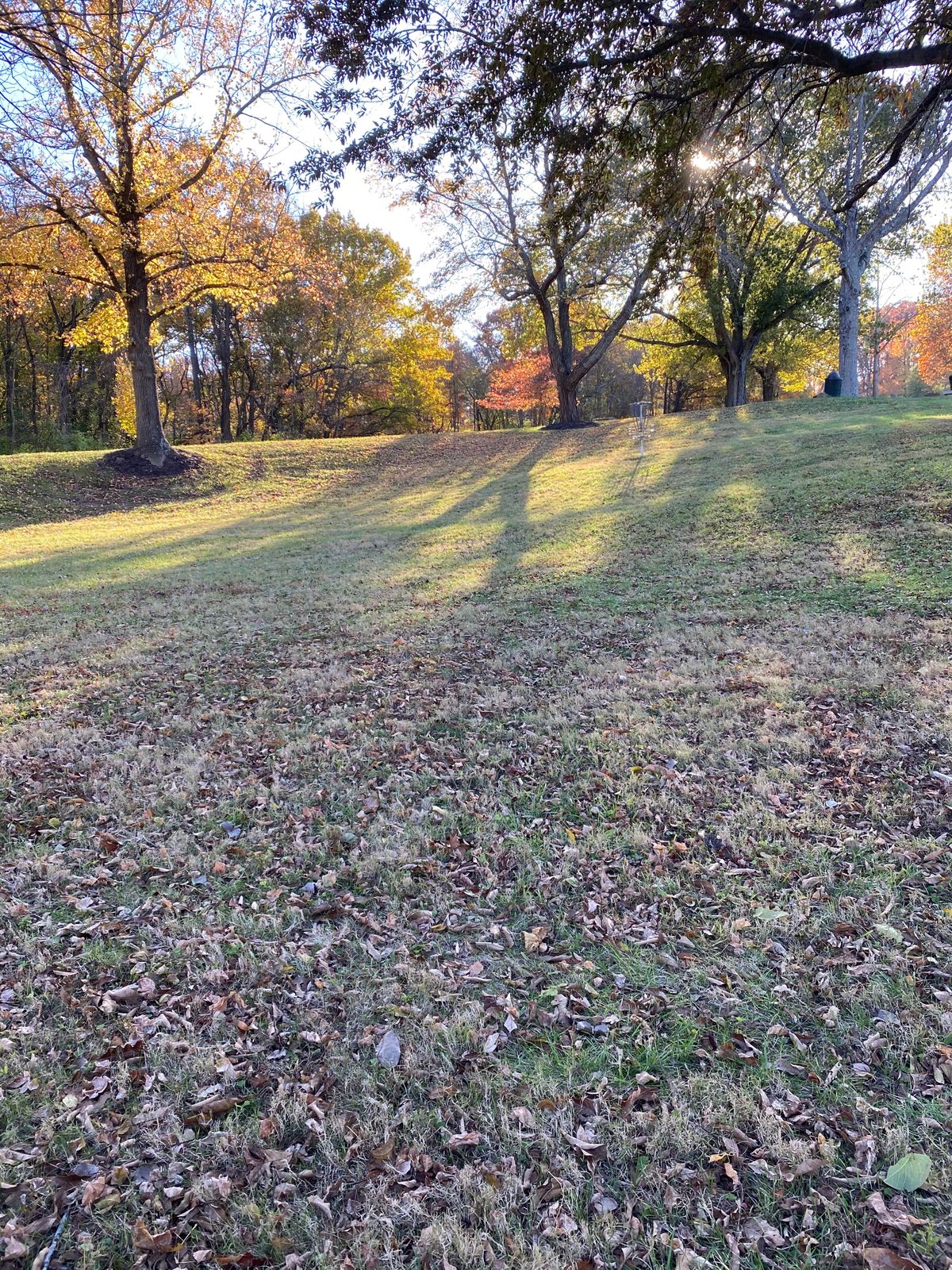 Beautiful grounds