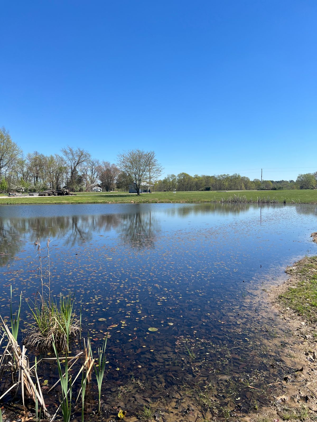 Hole 17 pond shot bird run!