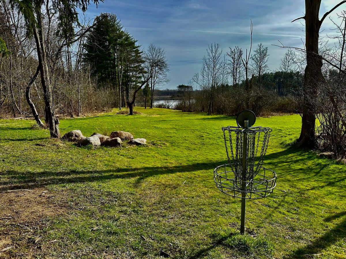 Hole #15 Long Basket