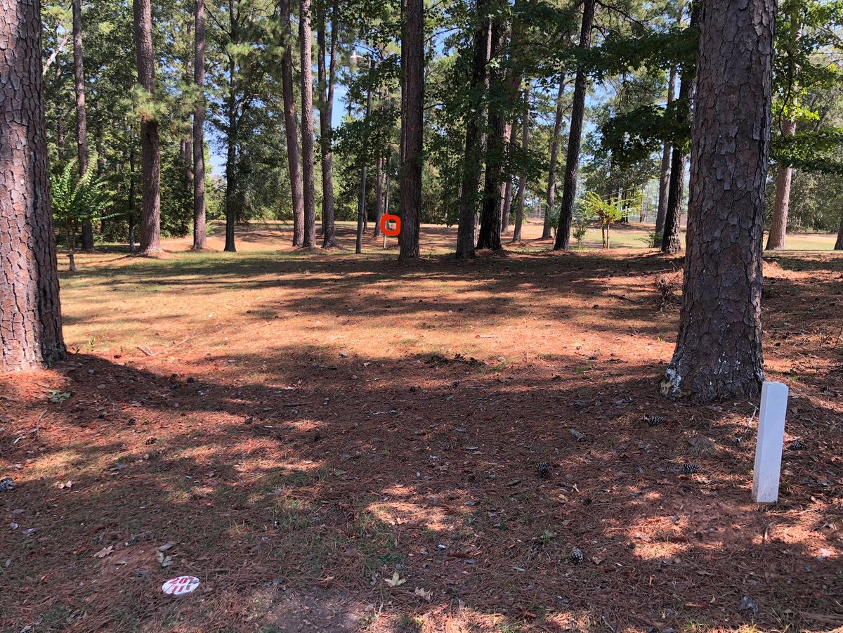 Hole 11 basket, nice RHBH flex