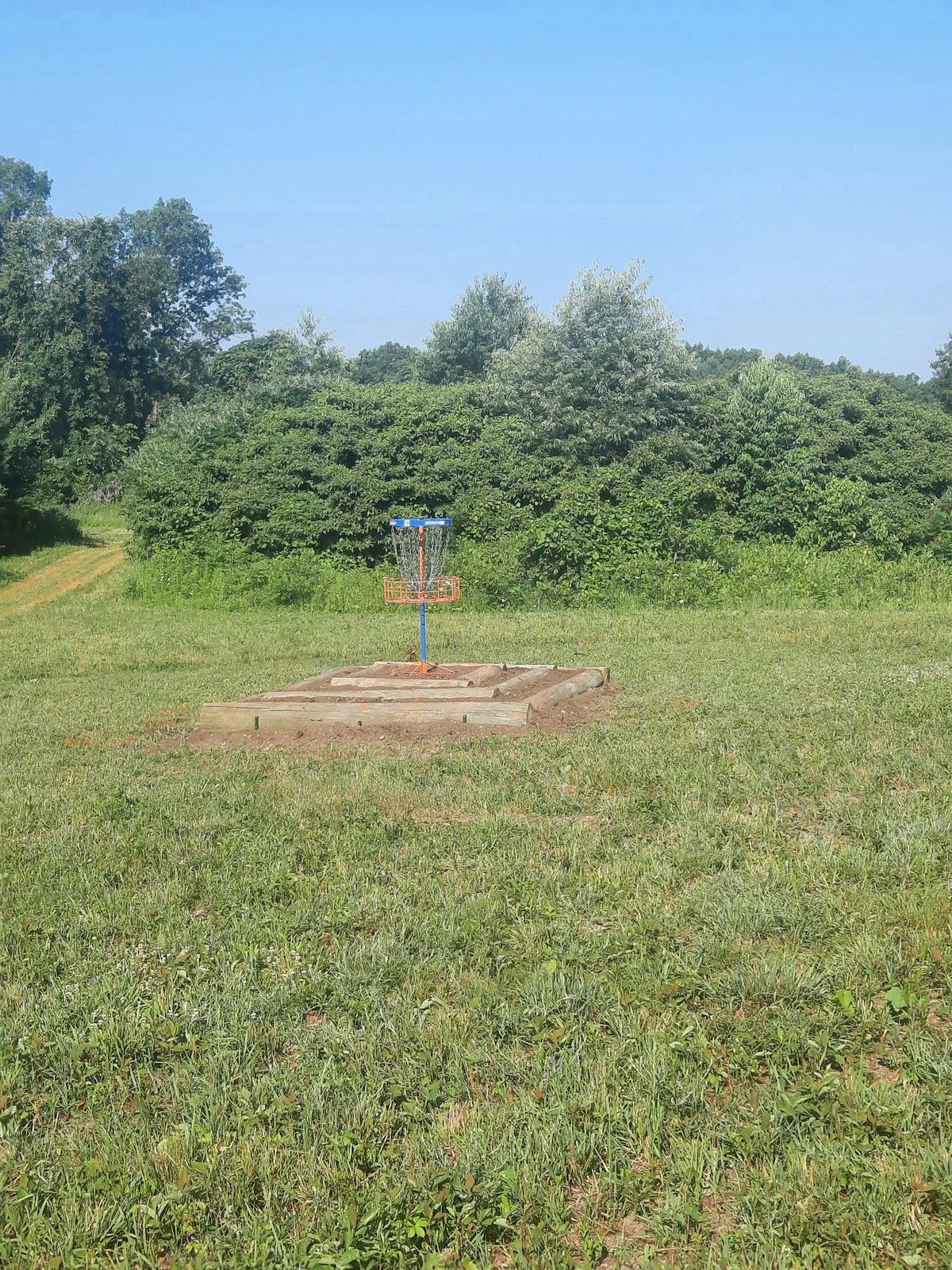 Hole 8's elevated basket.