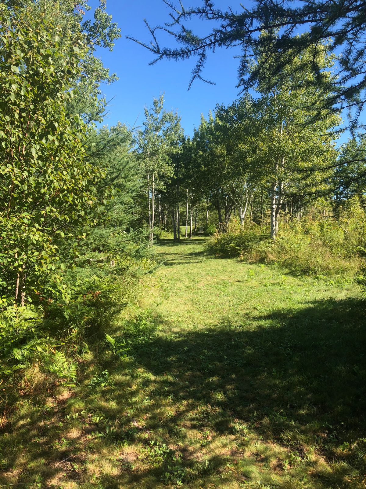 Hole 5