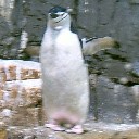 User avatar image