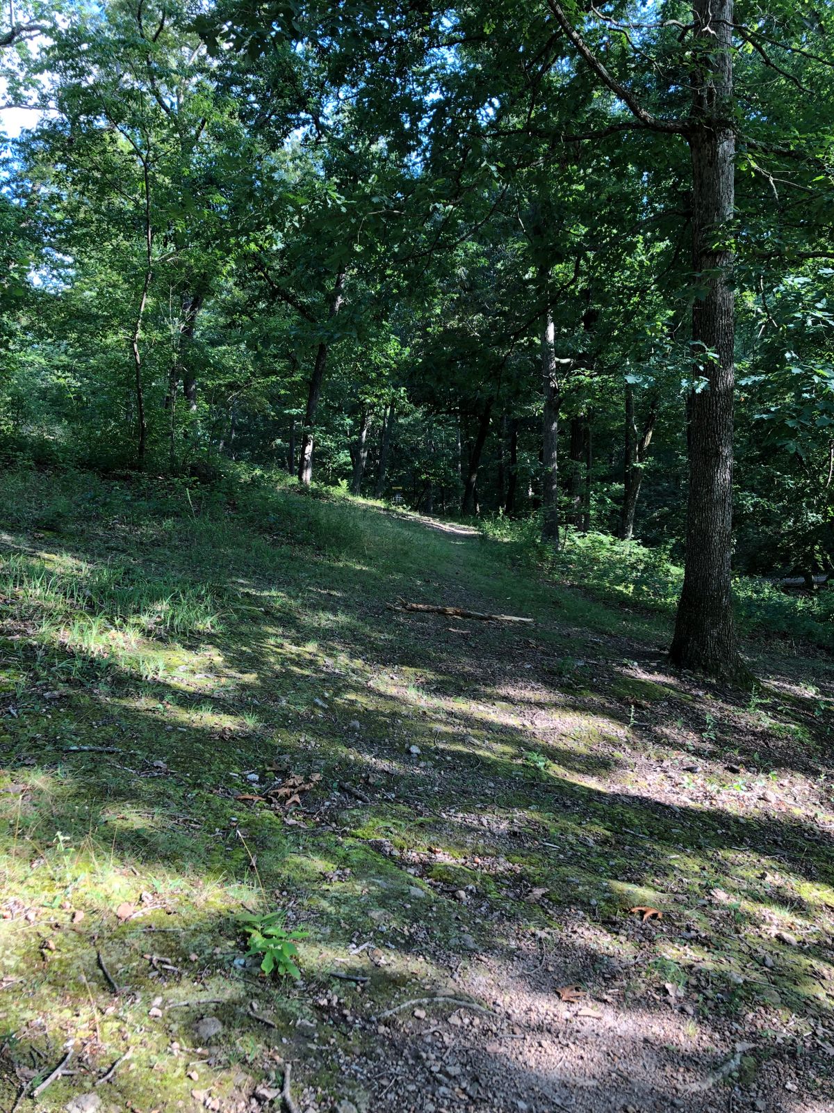 J. Frank Wilson Park