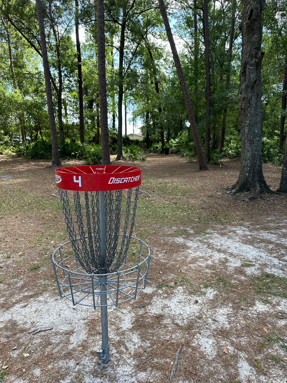 Hole 4 basket