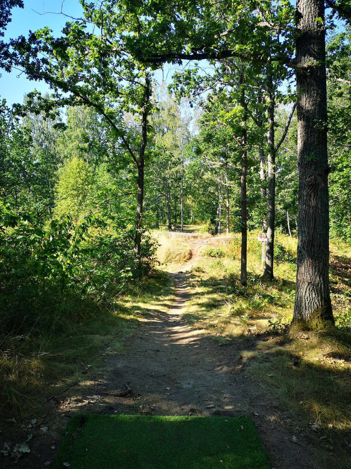 Tee 18