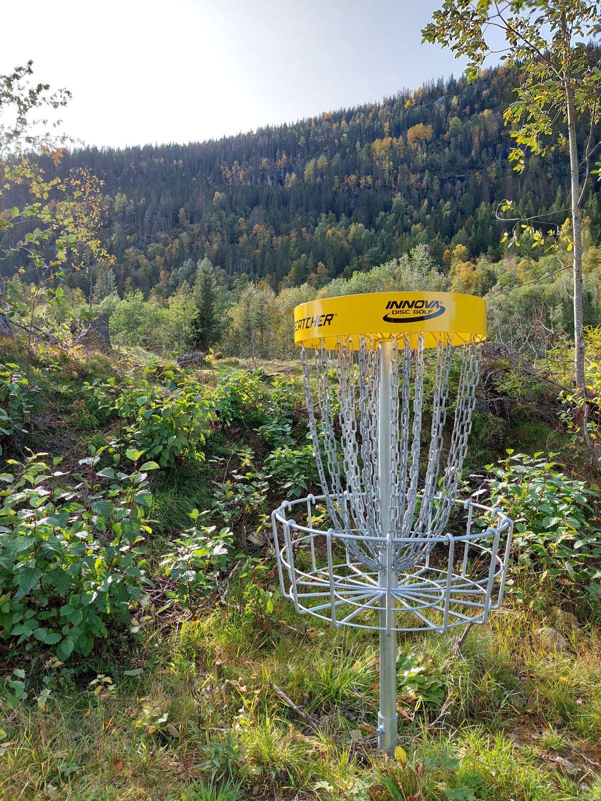 Hole 9