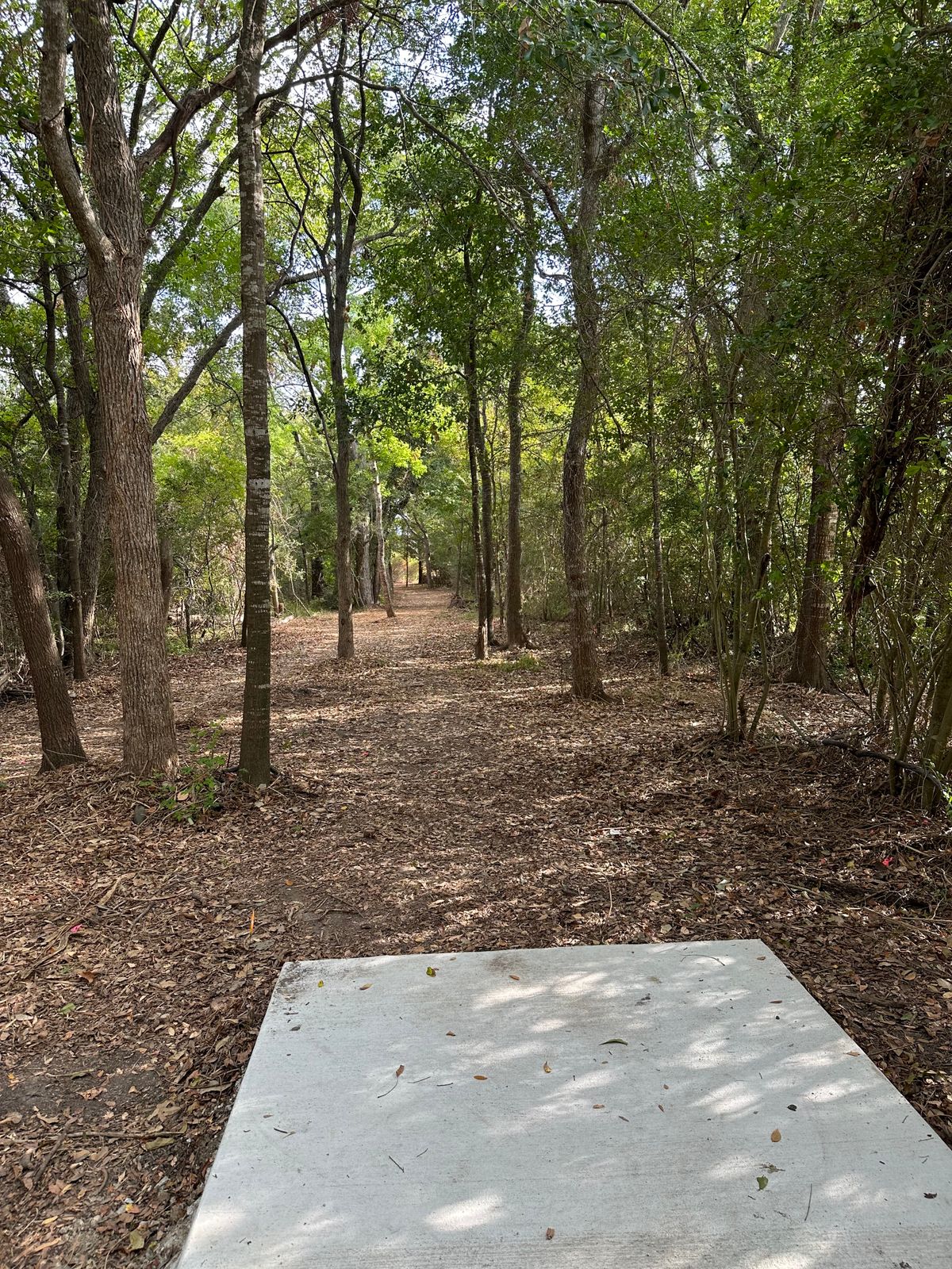 Hole 2 from teepad