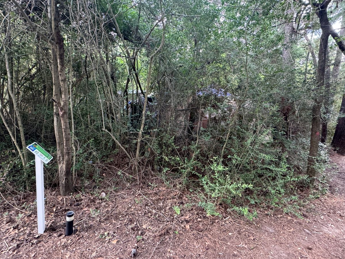 Homeless camp next to 19 tee box